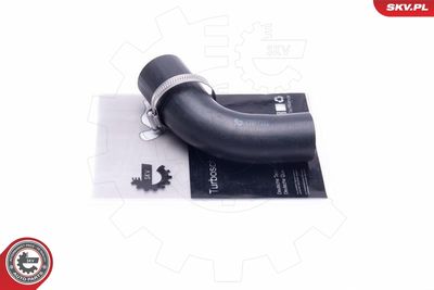 FURTUN EAR SUPRAALIMENTARE