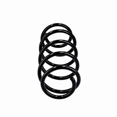 ARC SPIRAL EIBACH R10341 13