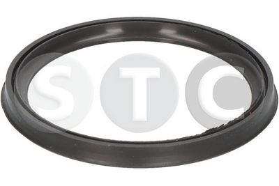 Těsnění, dmychadlo STC T479630