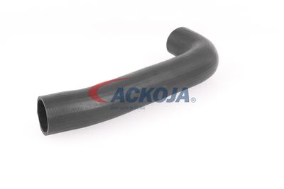 FURTUN EAR SUPRAALIMENTARE ACKOJA A379602 30