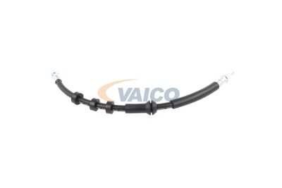 FURTUN FRANA VAICO V104209 26