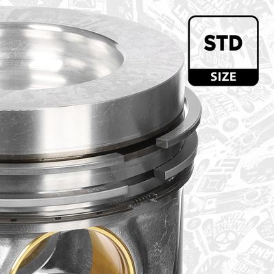 PISTON ET ENGINETEAM PM014900 2