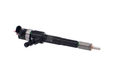 INJECTOR REMANTE 002003001717R 45