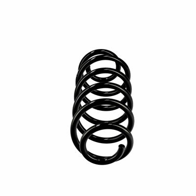 ARC SPIRAL EIBACH R10270 13