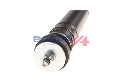 AMORTIZOR BOGAP C3411106 3