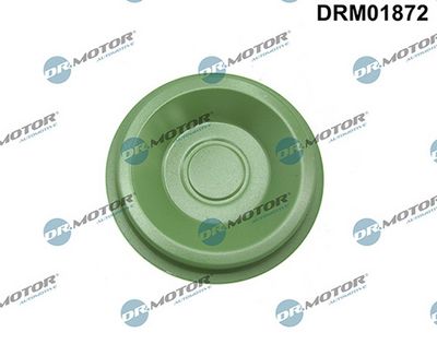 Kryt příruby, ruční převodovka LIZARTE DRM01872