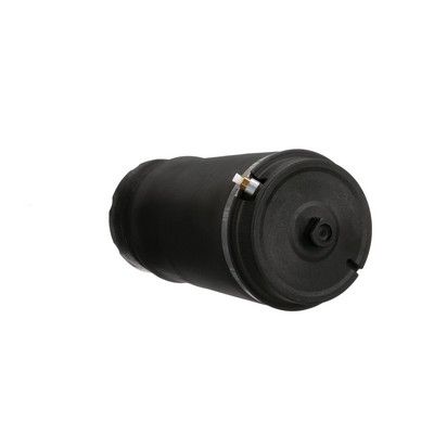 LUFTFEDER FAHRWERK Arnott A2831 8