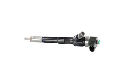 INJECTOR REMANTE 002003002244R 14
