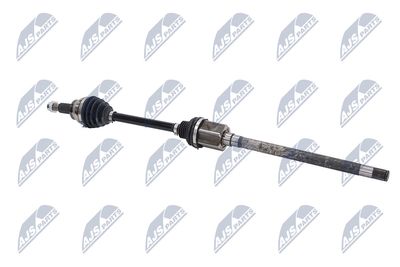 PLANETARA NTY NPWLR031 27