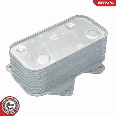 RADIATOR ULEI ULEI MOTOR ESEN SKV 31SKV211 1