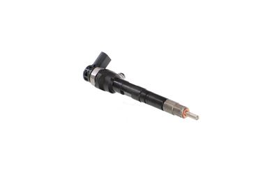 INJECTOR REMANTE 002003000034R 46