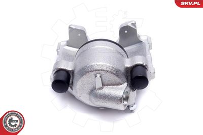 Brake Caliper 56SKV261