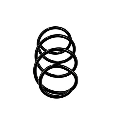 ARC SPIRAL EIBACH R10129 1