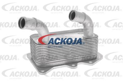 масляный радиатор, двигательное масло ACKOJA A52-60-1006 для HYUNDAI GRAND SANTA FE