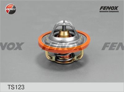 FENOX TS123 Термостат  для ZAZ (Заз)