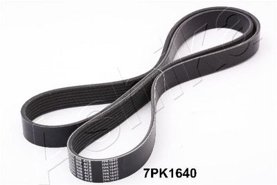 V-Ribbed Belt 112-7PK1640