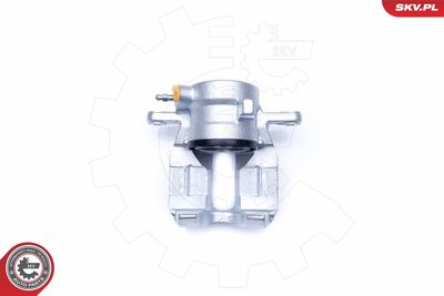 Brake Caliper 42SKV352