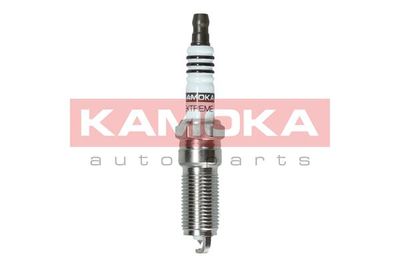 Spark Plug 7100026