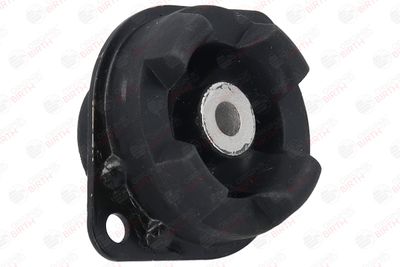SUPORT MOTOR BIRTH 5630 11