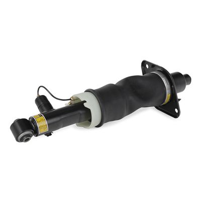 шенкел възд. възглавница RIDEX 4118A0030