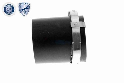 LADELUFTSCHLAUCH VAICO V103780 5