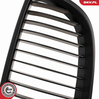 GRILA RADIATOR ESEN SKV 66SKV105 8
