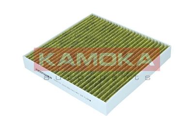 Filter, cabin air 6080170