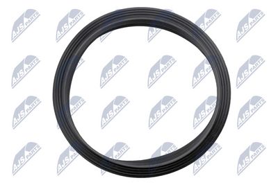 GARNITURA POMPA COMBUSTIBIL NTY BPPVW005 2