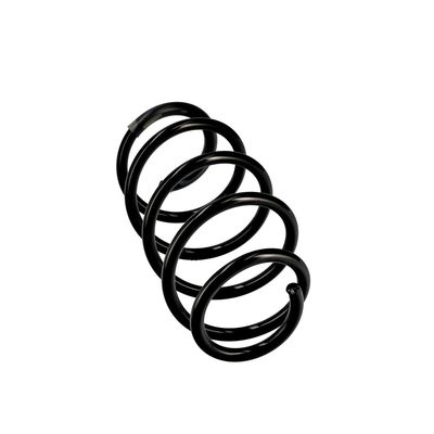 ARC SPIRAL EIBACH R10096 12
