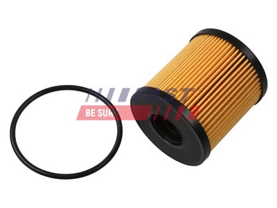 alyvos filtras FT38074 FAST