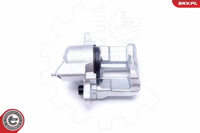 Brake Caliper 42SKV631