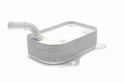 RADIATOR ULEI ULEI MOTOR VEMO V15606071 8