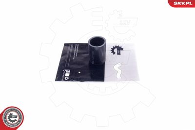 FURTUN EAR SUPRAALIMENTARE