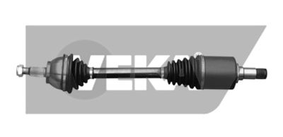 Drive shaft