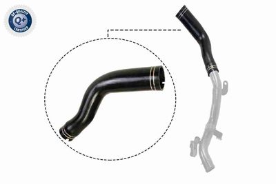 FURTUN EAR SUPRAALIMENTARE