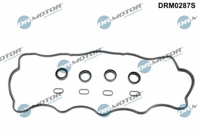 SET GARNITURI CAPAC SUPAPE Dr.Motor Automotive DRM0287S