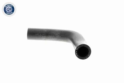 FURTUN EAR SUPRAALIMENTARE VAICO V240728 2