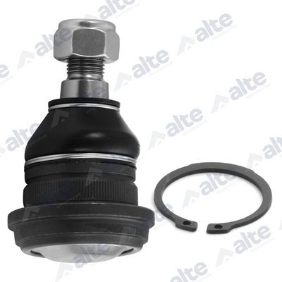 ARTICULATIE SARCINA/GHIDARE