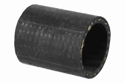 FURTUN EAR SUPRAALIMENTARE ACKOJA A701304 2