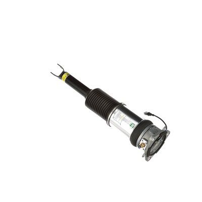 LUFTFEDERBEIN Arnott AS2965 67