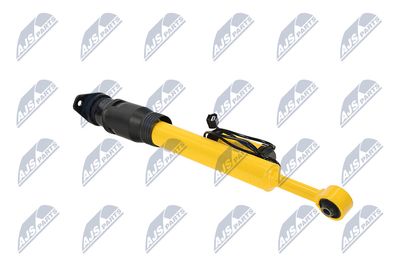 AMORTIZOR NTY ACH124 12