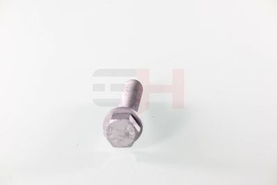 SURUB CAPAT DE AX GH GH391539 16