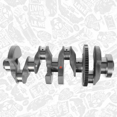 ARBORE COTIT ET ENGINETEAM HK0216 5