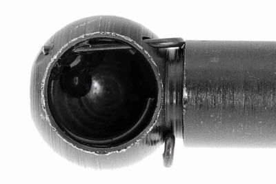 AMORTIZOR PORTBAGAJ VAICO V950132 1