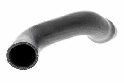 FURTUN EAR SUPRAALIMENTARE