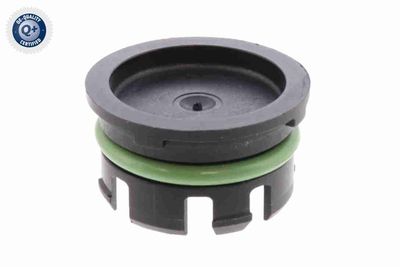 VERSCHLUSSSCHRAUBE KURBELGEHäUSE