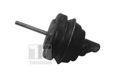 SUPORT MOTOR TEDGUM TED11497 2