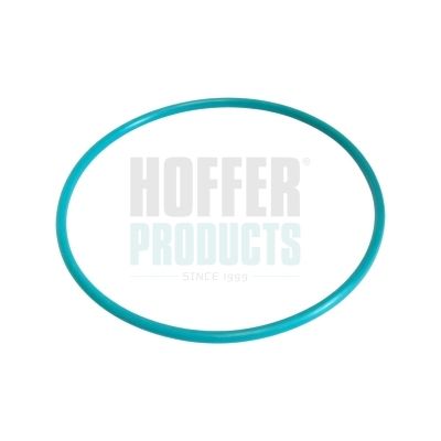 Уплътнение, тапа на горивния резервоар HOFFER GSK01