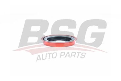Уплотняющее кольцо, дифференциал BSG BSG 30-116-140 для FORD C-MAX