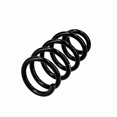 ARC SPIRAL EIBACH R10603 3